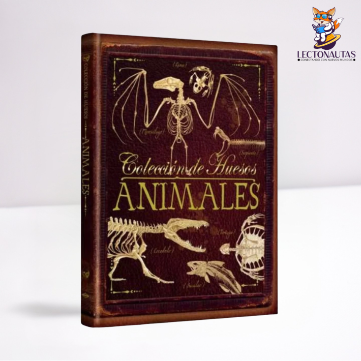 Colección de huesos animales