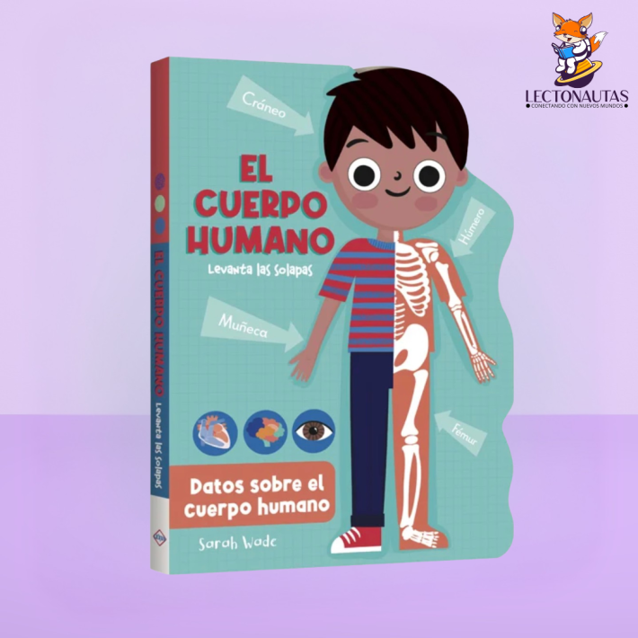 Datos sobre el cuerpo humano